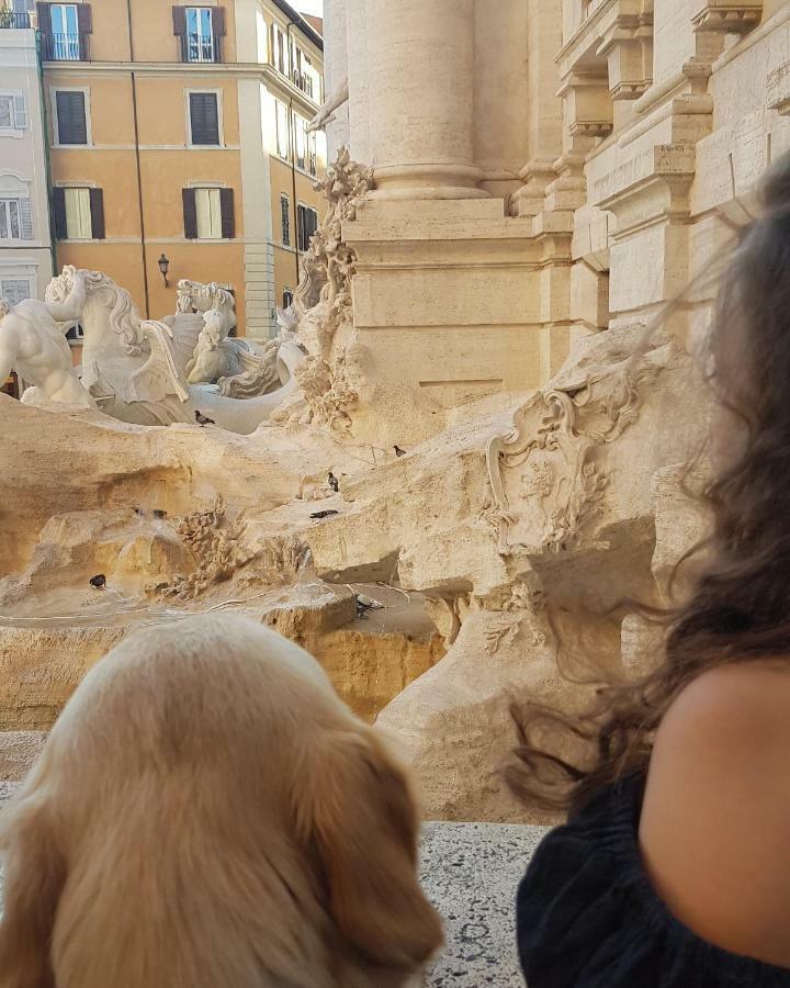 La Finestra Sul Cortile Appartamento Roma